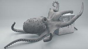 3D model octopus