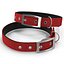 Collection de colliers pour chiens 5