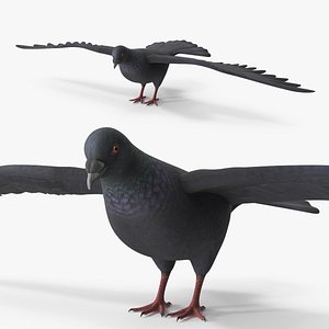 Lowpoly Pigeon Wingspread Black