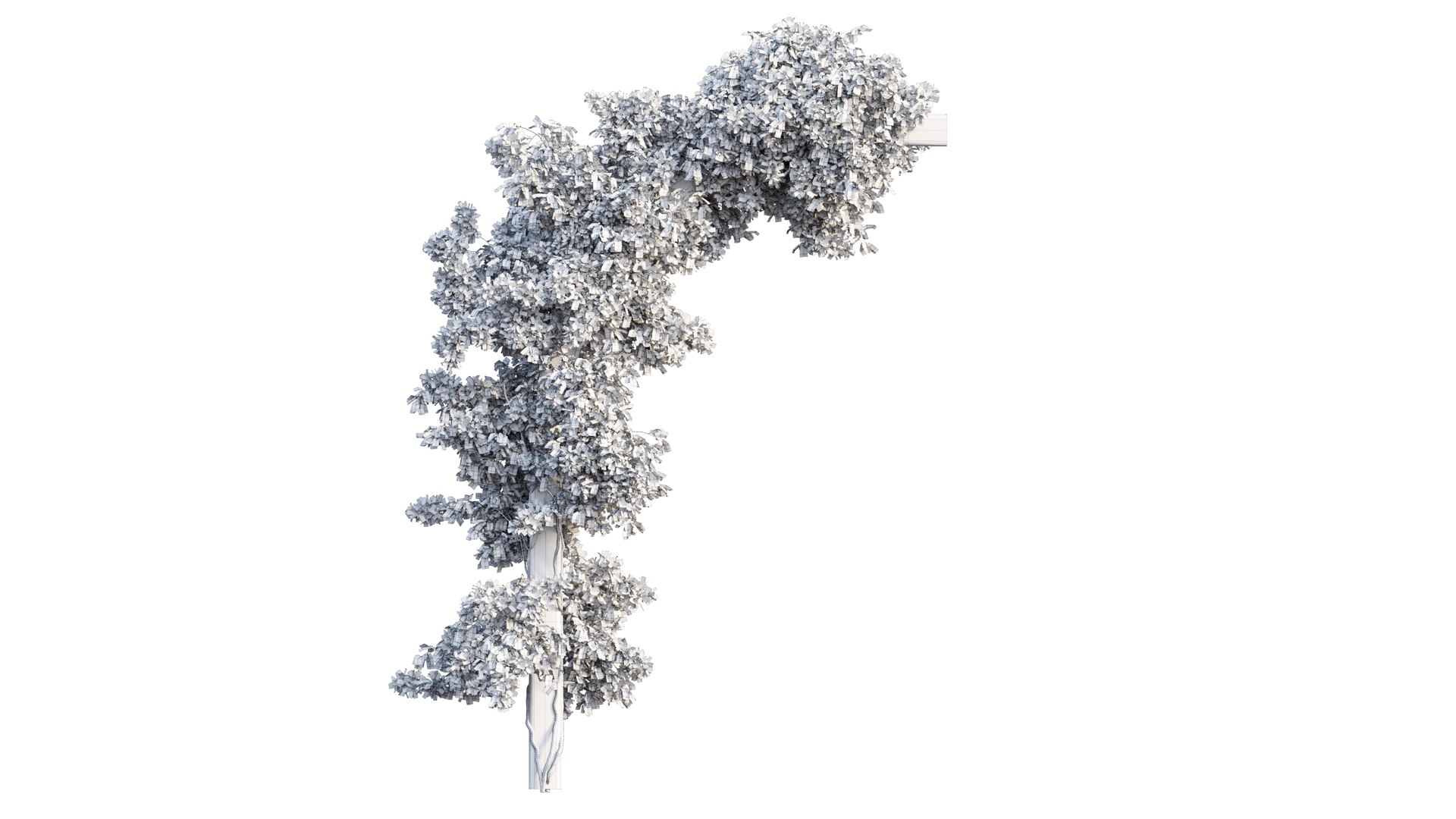 3D Bougainvillea plant set 27 https://p.turbosquid.com/ts-thumb/yr/TXENzL/bq/4/png/1641204762/1920x1080/fit_q87/cc31075d2e17e72d6908ff294fd39d82be4ca5be/4.jpg