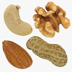 Nuts Collection 3D model