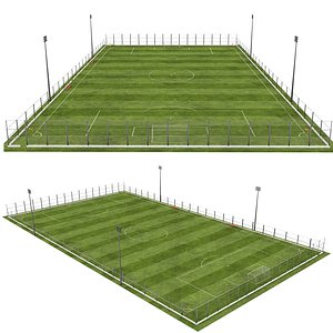 Professional Soccer Field