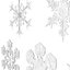Snowflakes Collection