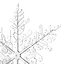 Snowflakes Collection
