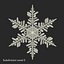 Snowflakes Collection