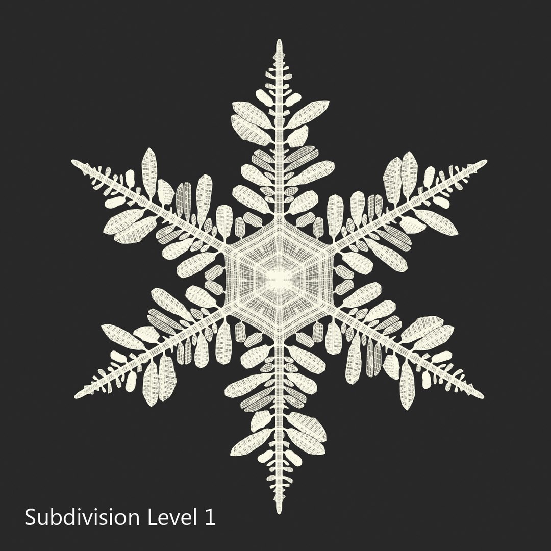 3d model snowflakes set realistic https://p.turbosquid.com/ts-thumb/yr/XQRhda/G36UCKTz/snowflakescollection3dmodels39/jpg/1452073076/1920x1080/fit_q87/6ca70332b87840d9b848a2738f52106e30467986/snowflakescollection3dmodels39.jpg