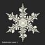 Snowflakes Collection