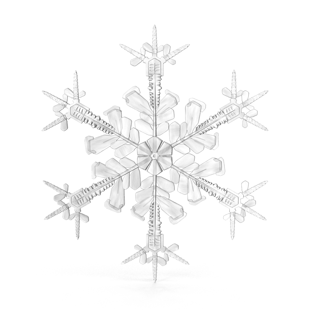 3d model snowflakes set realistic https://p.turbosquid.com/ts-thumb/yr/XQRhda/HVPk4inR/snowflake_4_360/jpg/1452067740/1920x1080/turn_fit_q99/f151f6411e9413c5fdc86def2a5ab8d26bbf63fd/snowflake_4_360-1.jpg