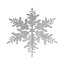 Snowflakes Collection