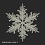 Snowflakes Collection