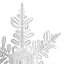 Snowflakes Collection