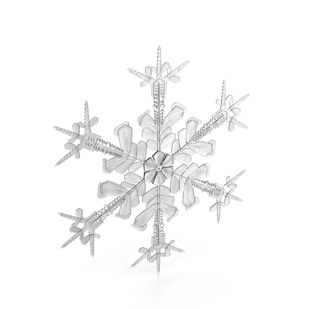 3d model snowflakes set realistic https://p.turbosquid.com/ts-thumb/yr/XQRhda/RByCt22W/snowflakescollection3dmodels24/jpg/1452073075/1920x1080/fit_q87/287249d3433dd79c287face299ba615c22091ab0/snowflakescollection3dmodels24.jpg