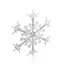 Snowflakes Collection