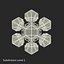 Snowflakes Collection