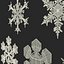 Snowflakes Collection