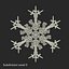 Snowflakes Collection