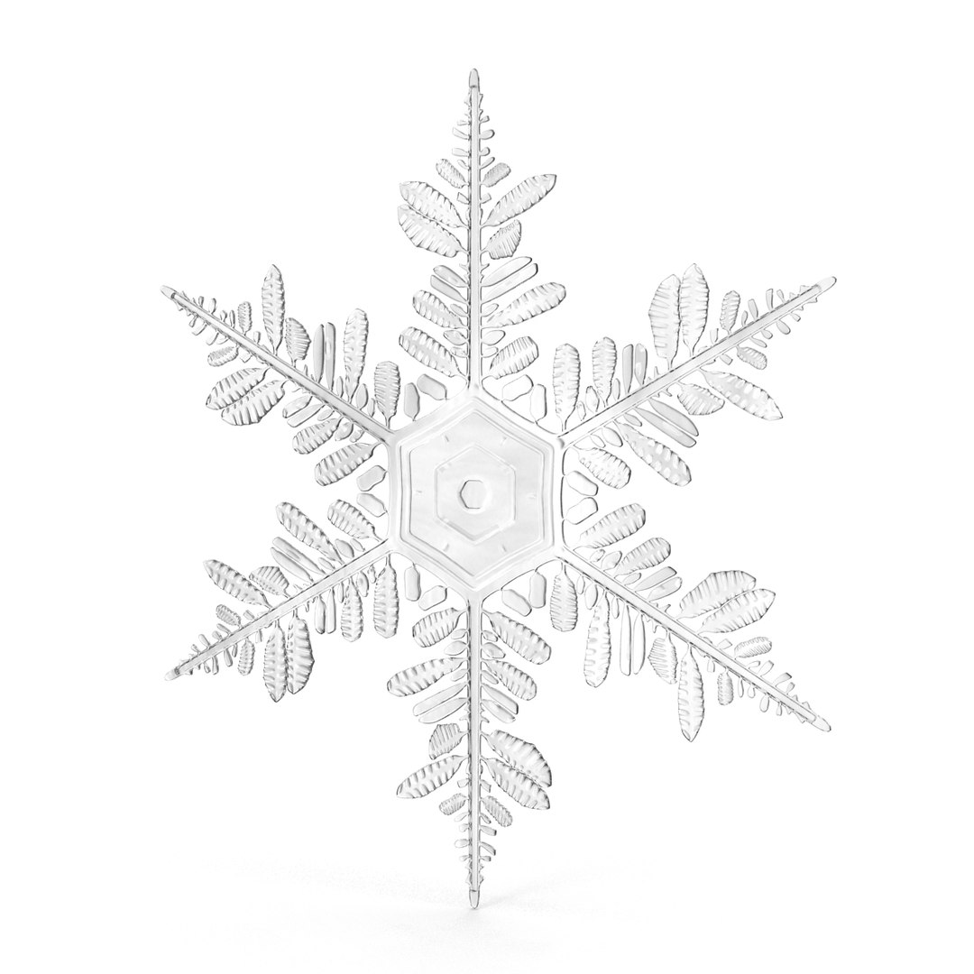 3d model snowflakes set realistic https://p.turbosquid.com/ts-thumb/yr/XQRhda/tox5IO4e/snowflakescollection3dmodels27/jpg/1452073075/1920x1080/fit_q87/ec36a69c8193330b81856cfb8d33a31c3216f605/snowflakescollection3dmodels27.jpg