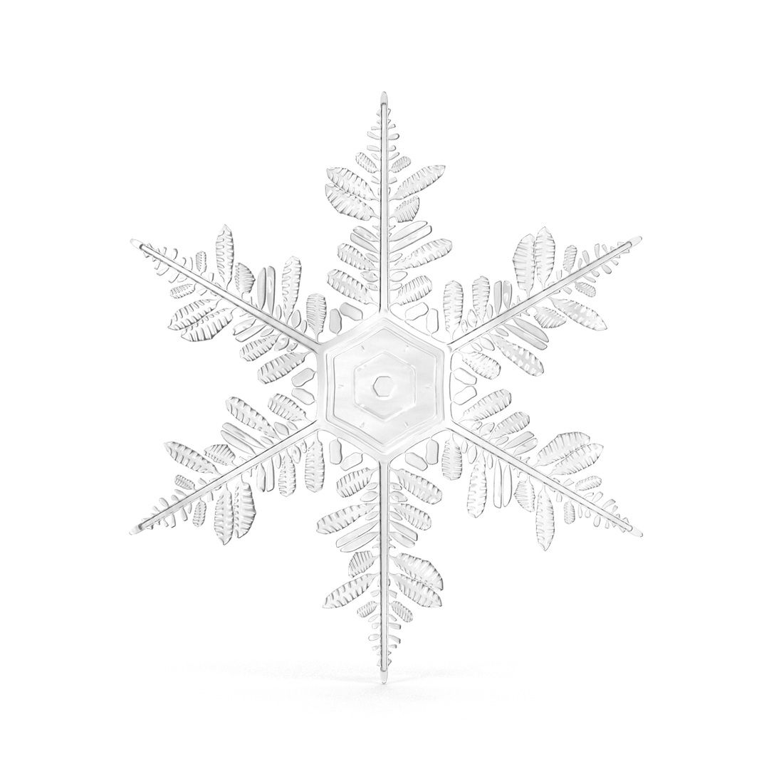3d model snowflakes set realistic https://p.turbosquid.com/ts-thumb/yr/XQRhda/yGHM2jwj/snowflake_5_360/jpg/1452068051/1920x1080/turn_fit_q99/a1049ab2666587d3b346f086bde8b6b5c96be079/snowflake_5_360-1.jpg
