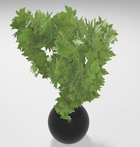 Pot plant Blender  OBJ 3D model