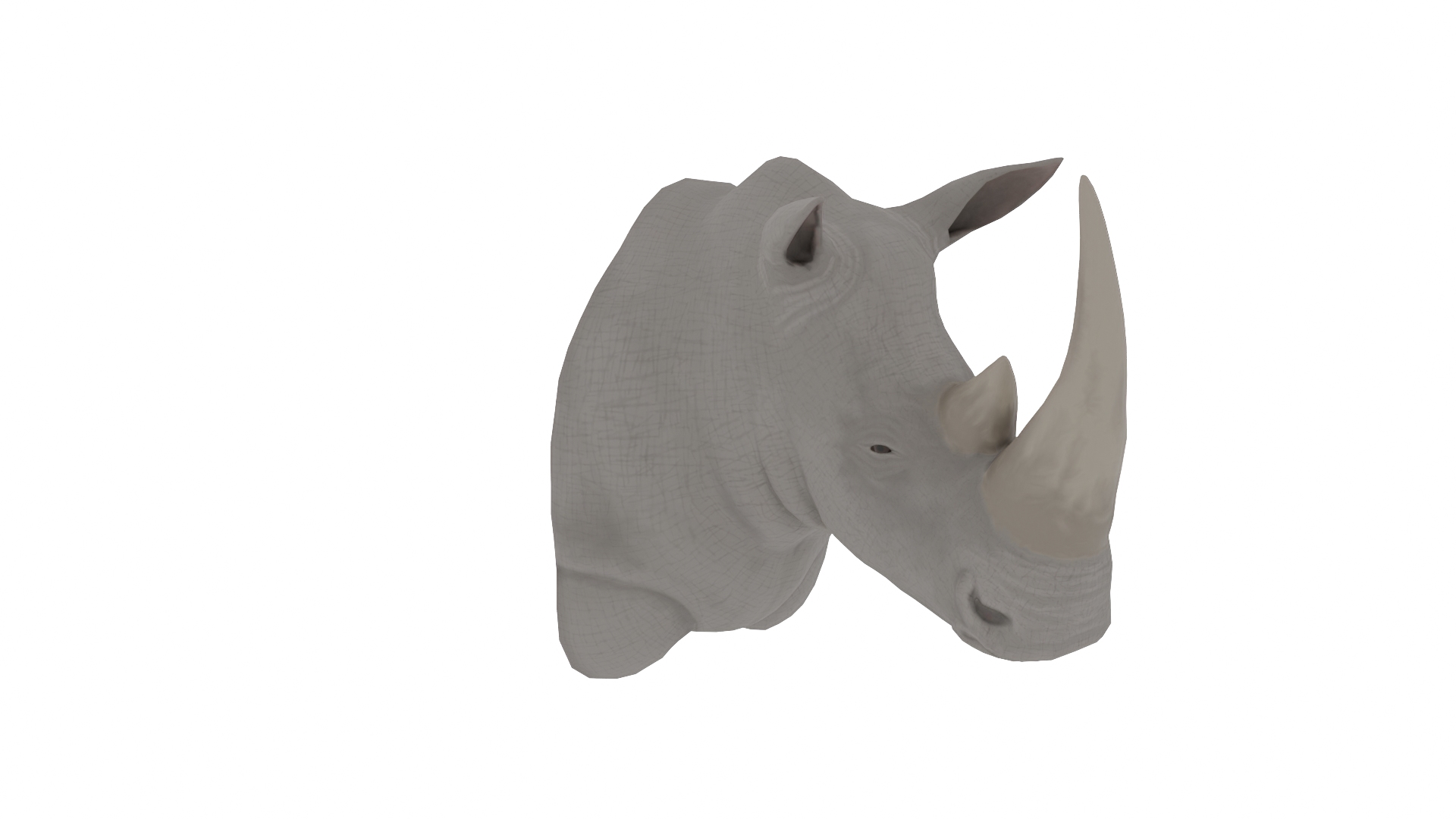 3D White Rhinoceros Head Trophy Wall Mount - Low Poly PBR model https://p.turbosquid.com/ts-thumb/yr/pxBLKN/H4/whiterhino_trophy_turntable/png/1790256325/1920x1080/turn_fit_q99/b2da3244a1c20d870f63c4864ba1ca9b161e075c/whiterhino_trophy_turntable-1.jpg