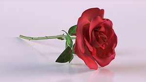 petal red roses plant 3D model