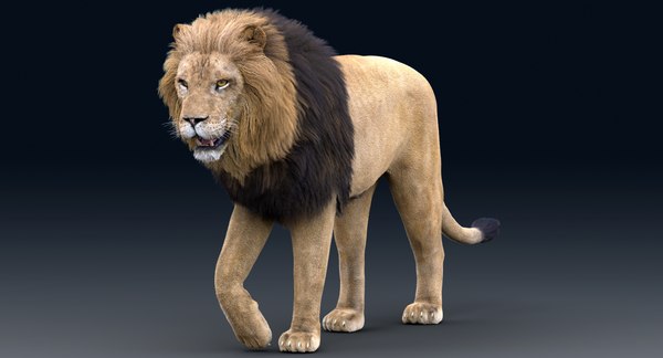 3D lion rigged fur 1 model - TurboSquid 1430848