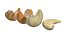3D Cashew Nuts