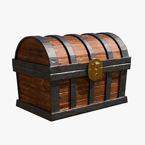 3D Chest model