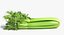 Celery