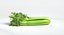 Celery