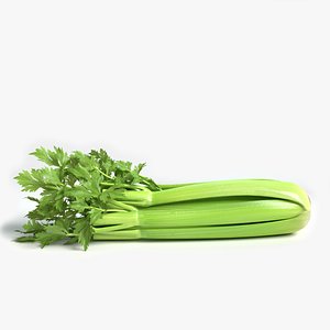 Celery