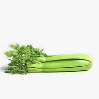 Celery