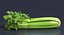 Celery