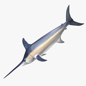 Swordfish