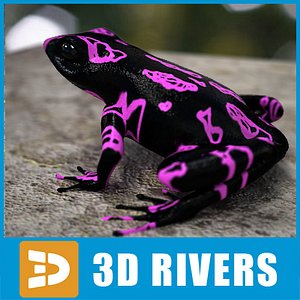 Atelopus frog 03 by 3DRivers