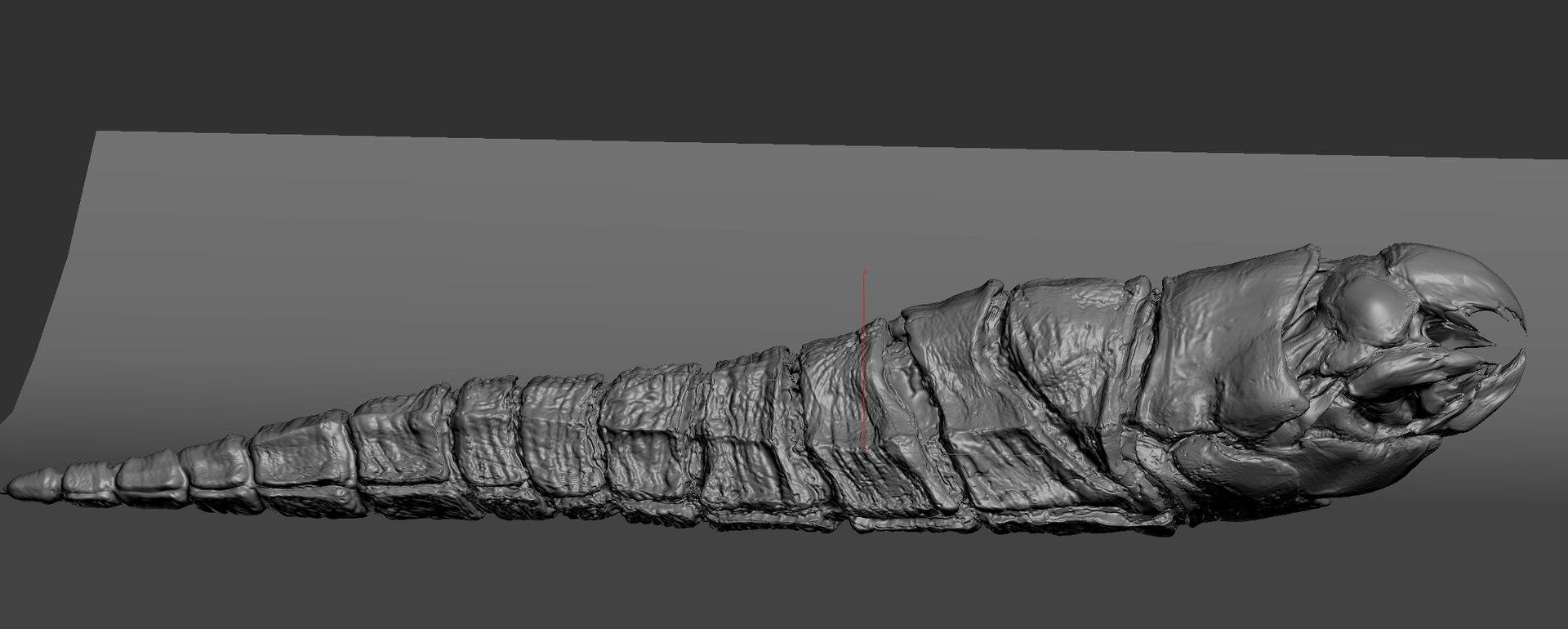 Bone worm model https://p.turbosquid.com/ts-thumb/ys/RcM0Eg/DM/high/jpg/1651268636/1920x1080/fit_q87/d1ad17212cd350158115757a969125548ce747e0/high.jpg