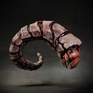 Bone worm