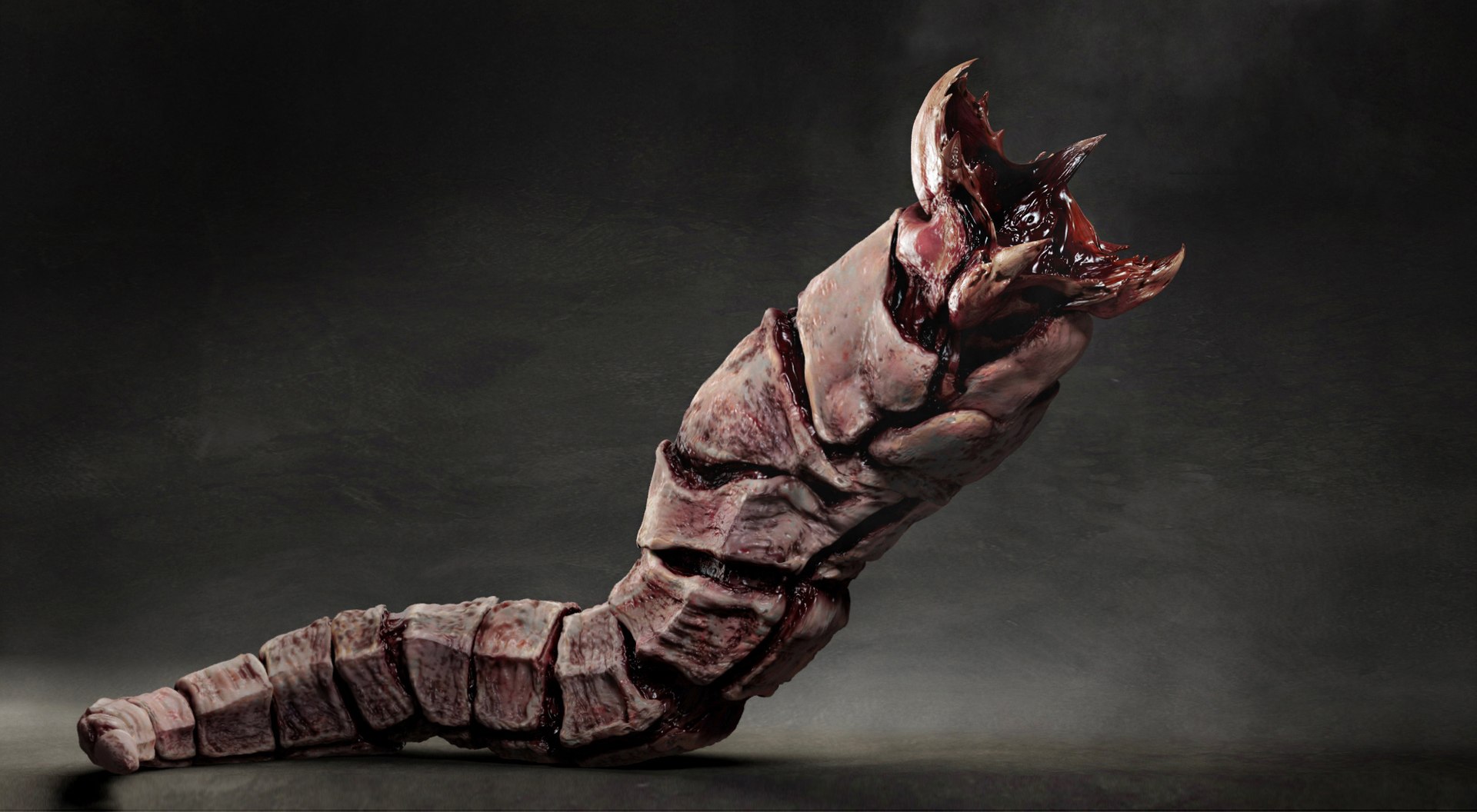 Bone worm model https://p.turbosquid.com/ts-thumb/ys/RcM0Eg/KT/345345/jpg/1651270100/1920x1080/fit_q87/b3e56ef845a1811f7063f4e4b1a22c8b84001d7f/345345.jpg