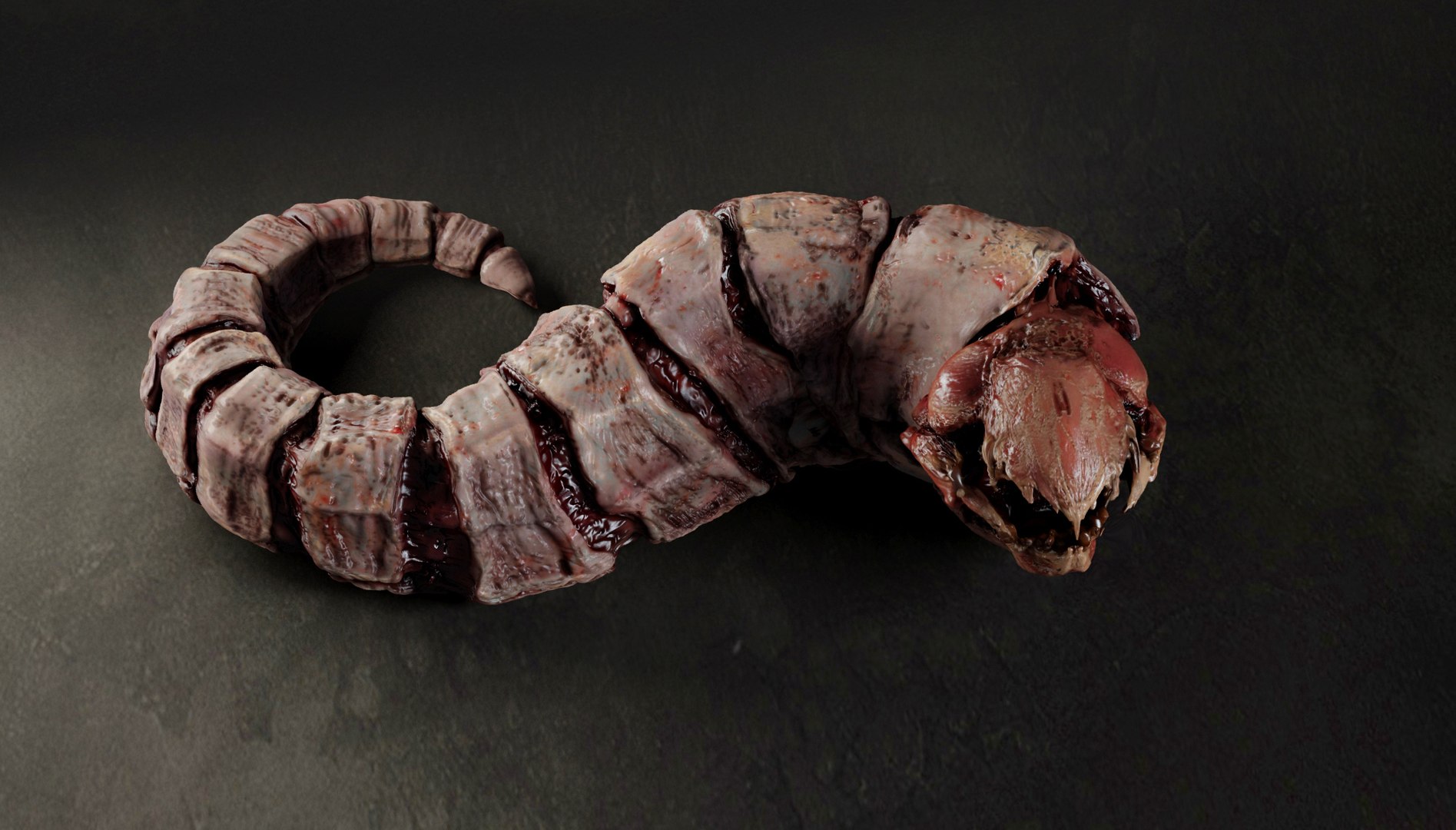 Bone worm model https://p.turbosquid.com/ts-thumb/ys/RcM0Eg/ml/456456/jpg/1651270100/1920x1080/fit_q87/1e0957709343b4bbb7a0dbca828c027f2ab40cbc/456456.jpg