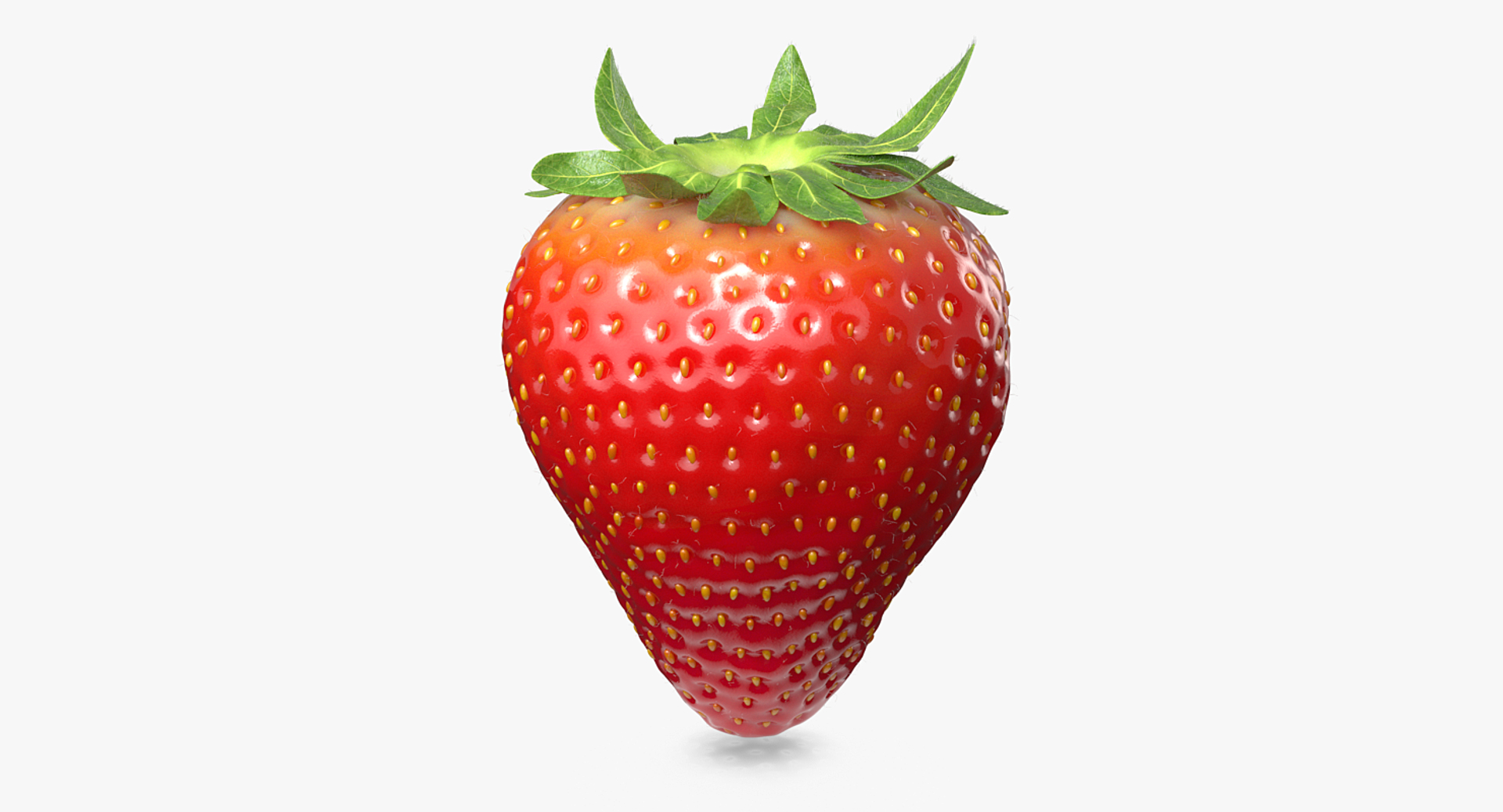 strawberry real fur 3D model https://p.turbosquid.com/ts-thumb/ys/TRWo7d/4j2M3bbn/anim/png/1523229498/1920x1080/turn_fit_q99/d225bf1f750762f1f1d414e1d4efb14c64c99709/anim-1.jpg