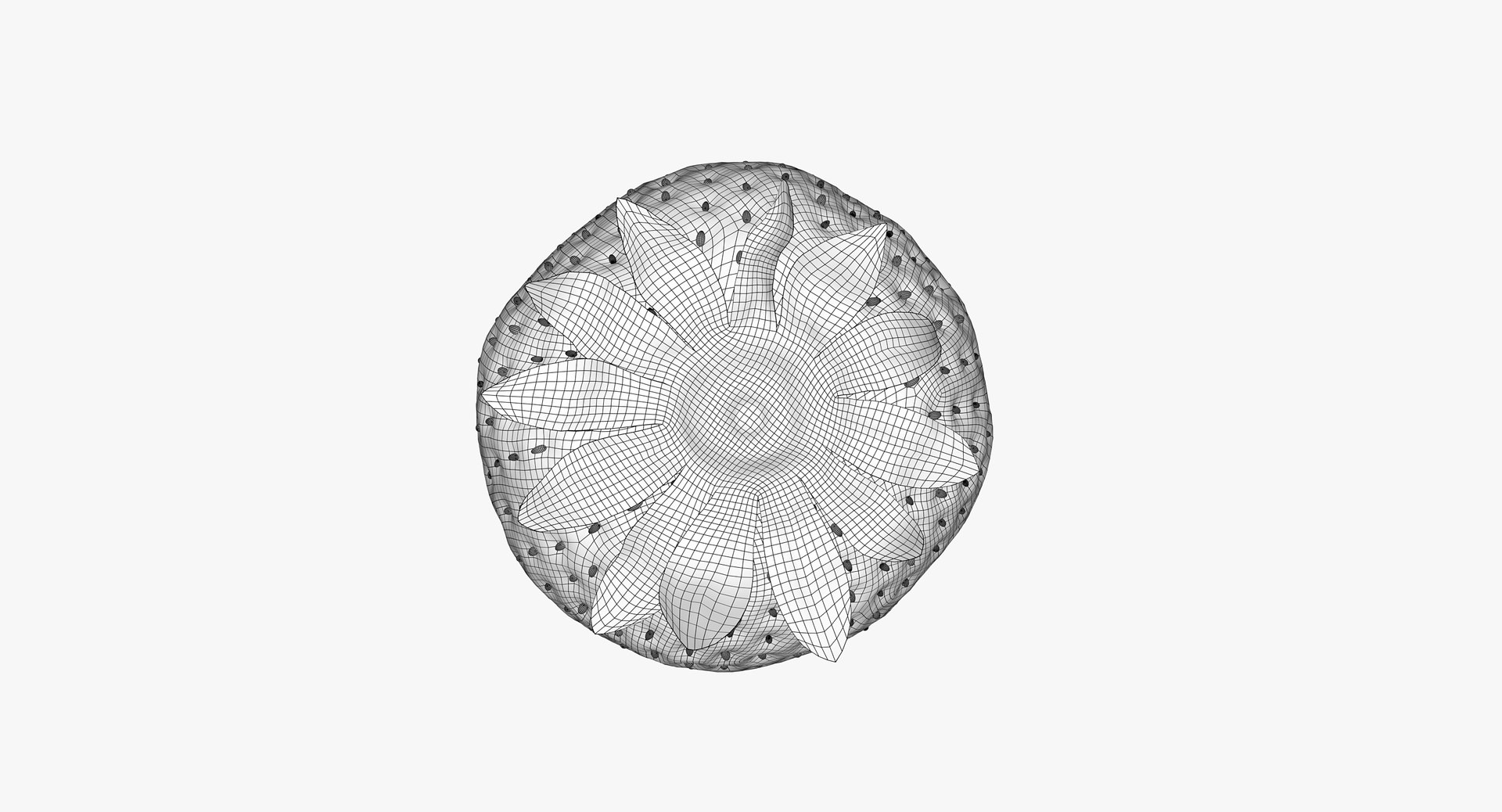 strawberry real fur 3D model https://p.turbosquid.com/ts-thumb/ys/TRWo7d/9YpgnMId/wires_005/png/1523229377/1920x1080/fit_q87/f965625ae7dd25cf98f52584fa84f43d0d92d72a/wires_005.jpg