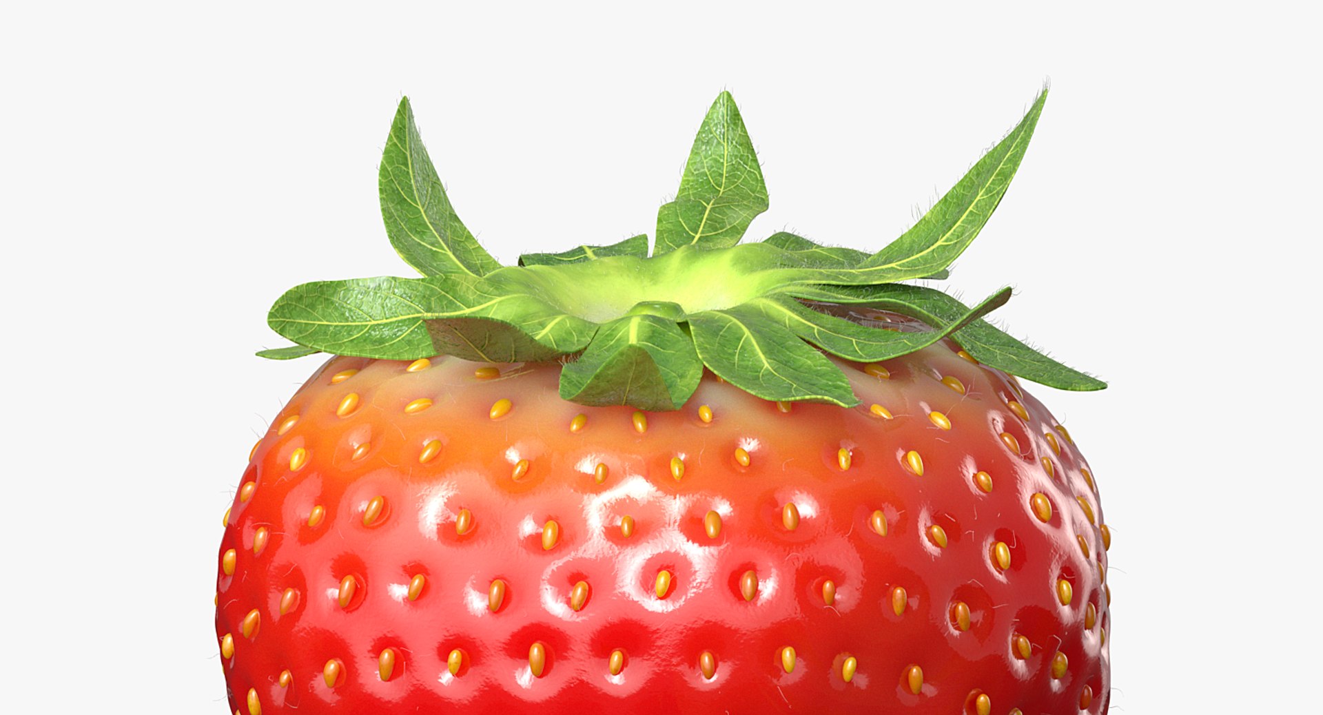 strawberry real fur 3D model https://p.turbosquid.com/ts-thumb/ys/TRWo7d/FIAbkfzy/a_003/png/1523229377/1920x1080/fit_q87/4f06550ad1e92be7c7c82a01f82b4290ef0bb99e/a_003.jpg