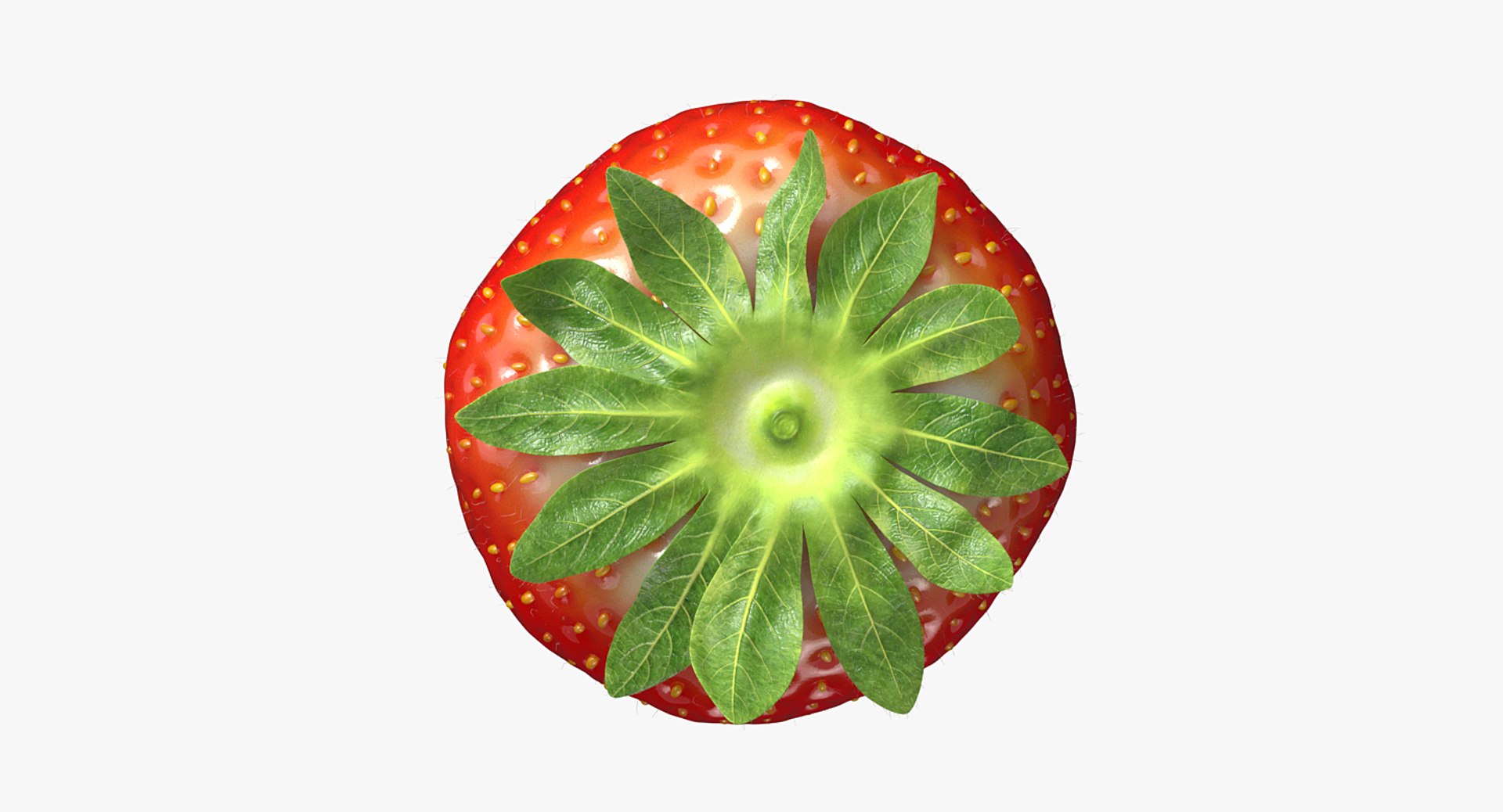 strawberry real fur 3D model https://p.turbosquid.com/ts-thumb/ys/TRWo7d/LXifc4rU/a_007/png/1523229377/1920x1080/fit_q87/cabacf4ffa6f08970a2814125bd68f40202d9f33/a_007.jpg