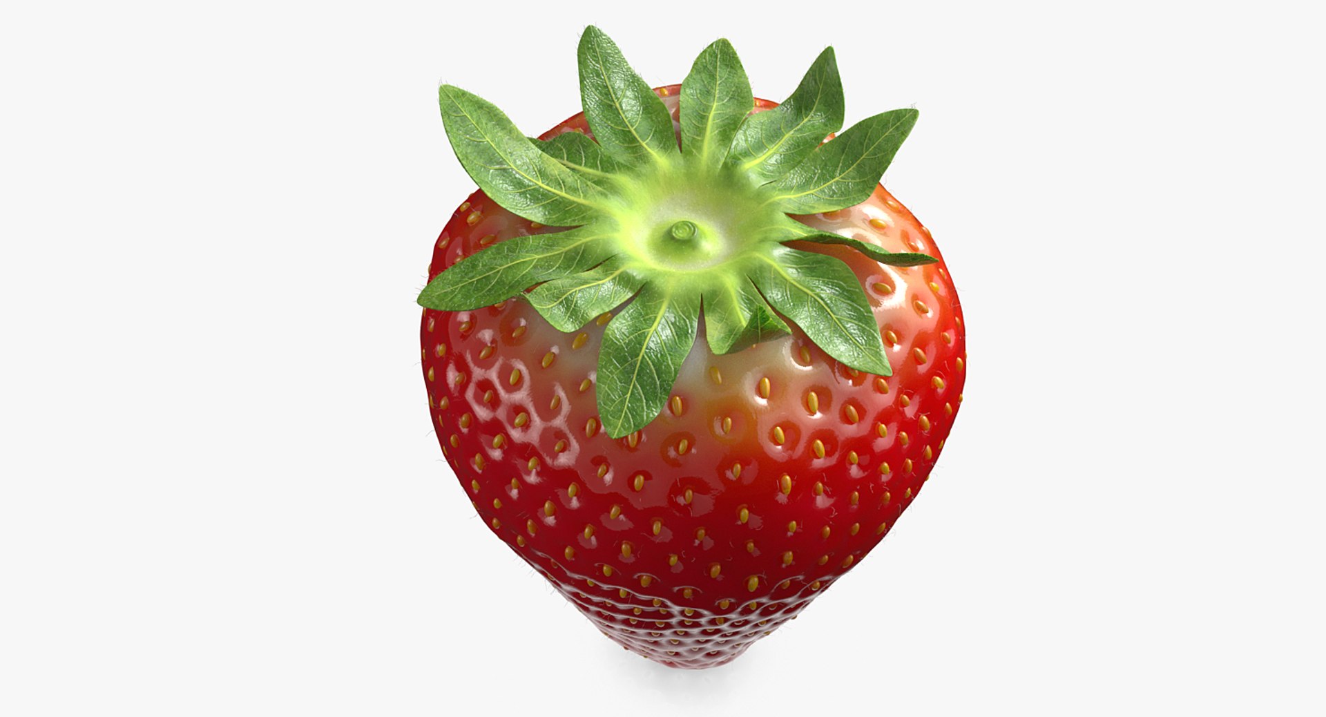 strawberry real fur 3D model https://p.turbosquid.com/ts-thumb/ys/TRWo7d/YkXlm8ar/a_006/png/1523229377/1920x1080/fit_q87/06453ce32d88b4c15411c5c29df6ce38dc8f9759/a_006.jpg