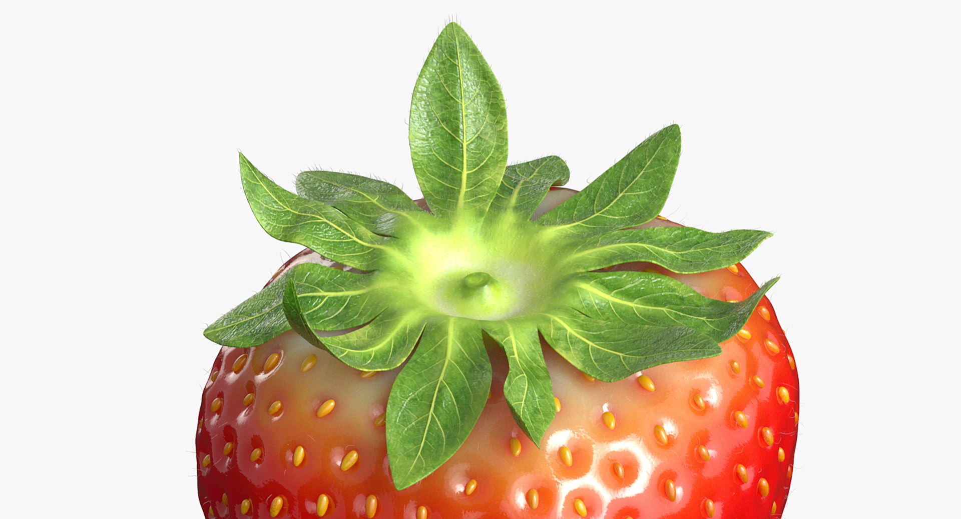 strawberry real fur 3D model https://p.turbosquid.com/ts-thumb/ys/TRWo7d/hme2NBVu/a_005/png/1523229377/1920x1080/fit_q87/87853e5213338791ecc560b200de6e667bf18154/a_005.jpg