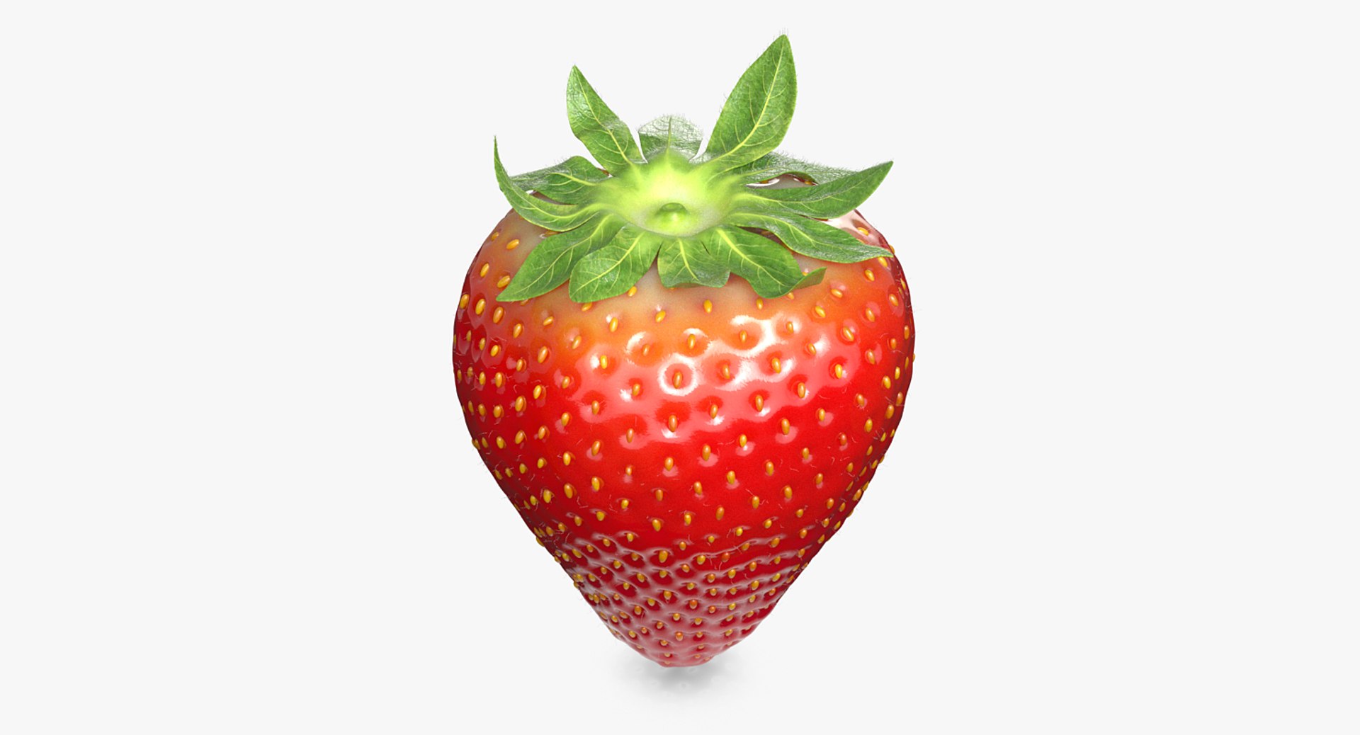 strawberry real fur 3D model https://p.turbosquid.com/ts-thumb/ys/TRWo7d/mwp88pR6/a_004/png/1523229377/1920x1080/fit_q87/e522941bca6e457006d5fe3cd9c5e29a7d1c01fa/a_004.jpg