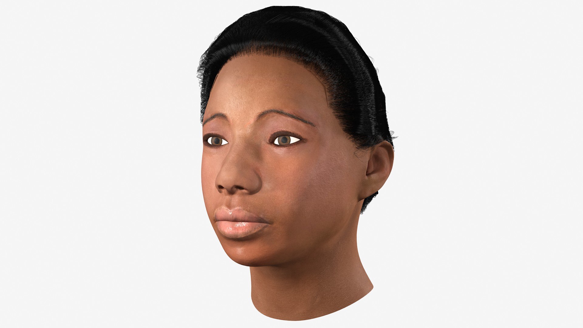 African American Female Head Fur 3D model preview