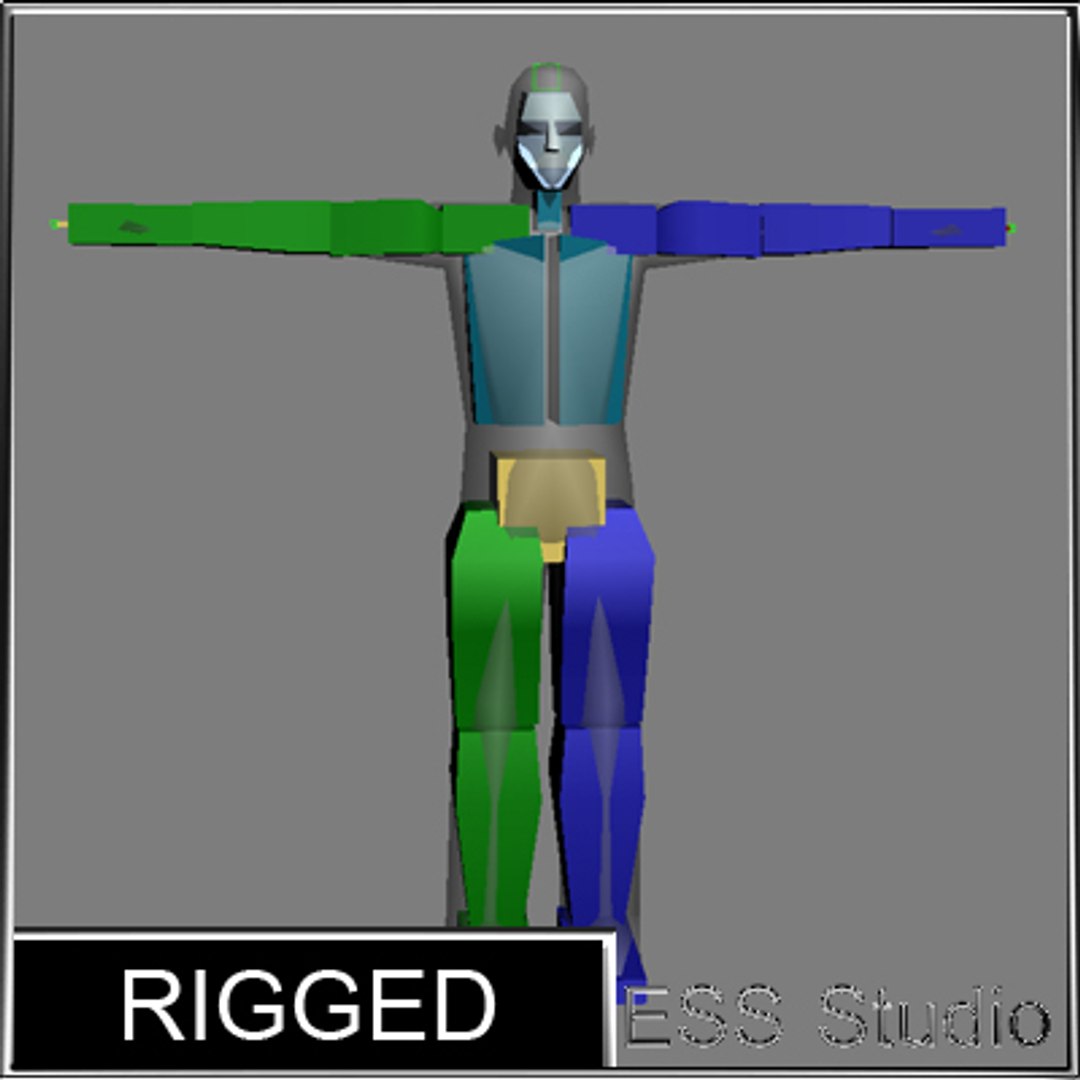 3d Male Human Rigged
