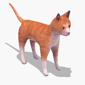Stray Cat A