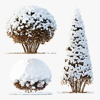Av Winter Plant darf Yaupon Holly Winter